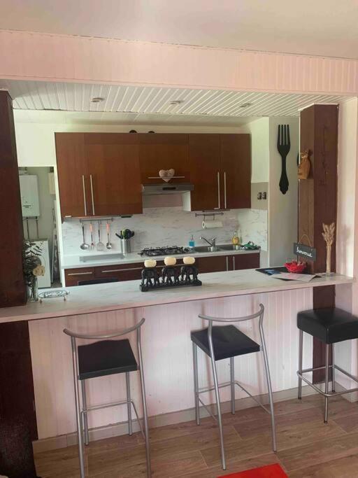 Villa 3 Chambres Parking Et Terrasse Plaisance-du-Touch 外观 照片