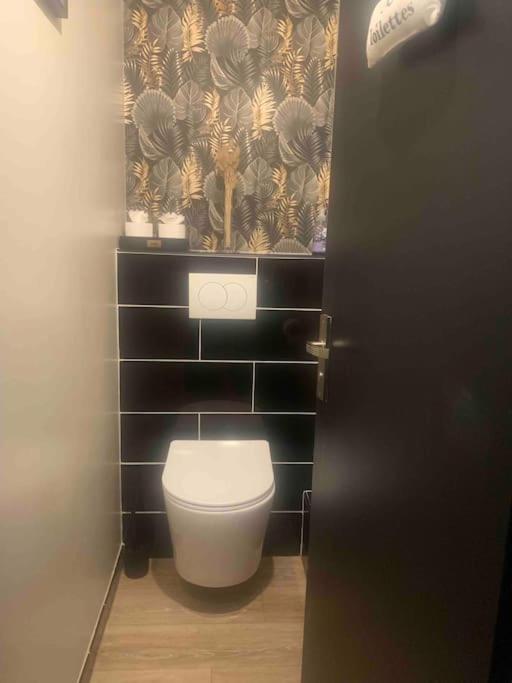 Villa 3 Chambres Parking Et Terrasse Plaisance-du-Touch 外观 照片