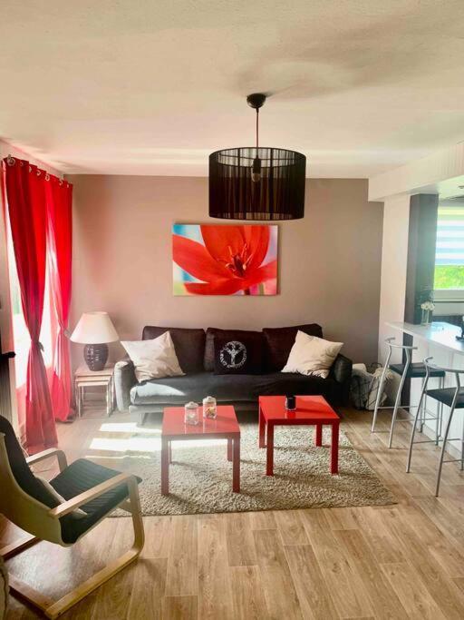 Villa 3 Chambres Parking Et Terrasse Plaisance-du-Touch 外观 照片